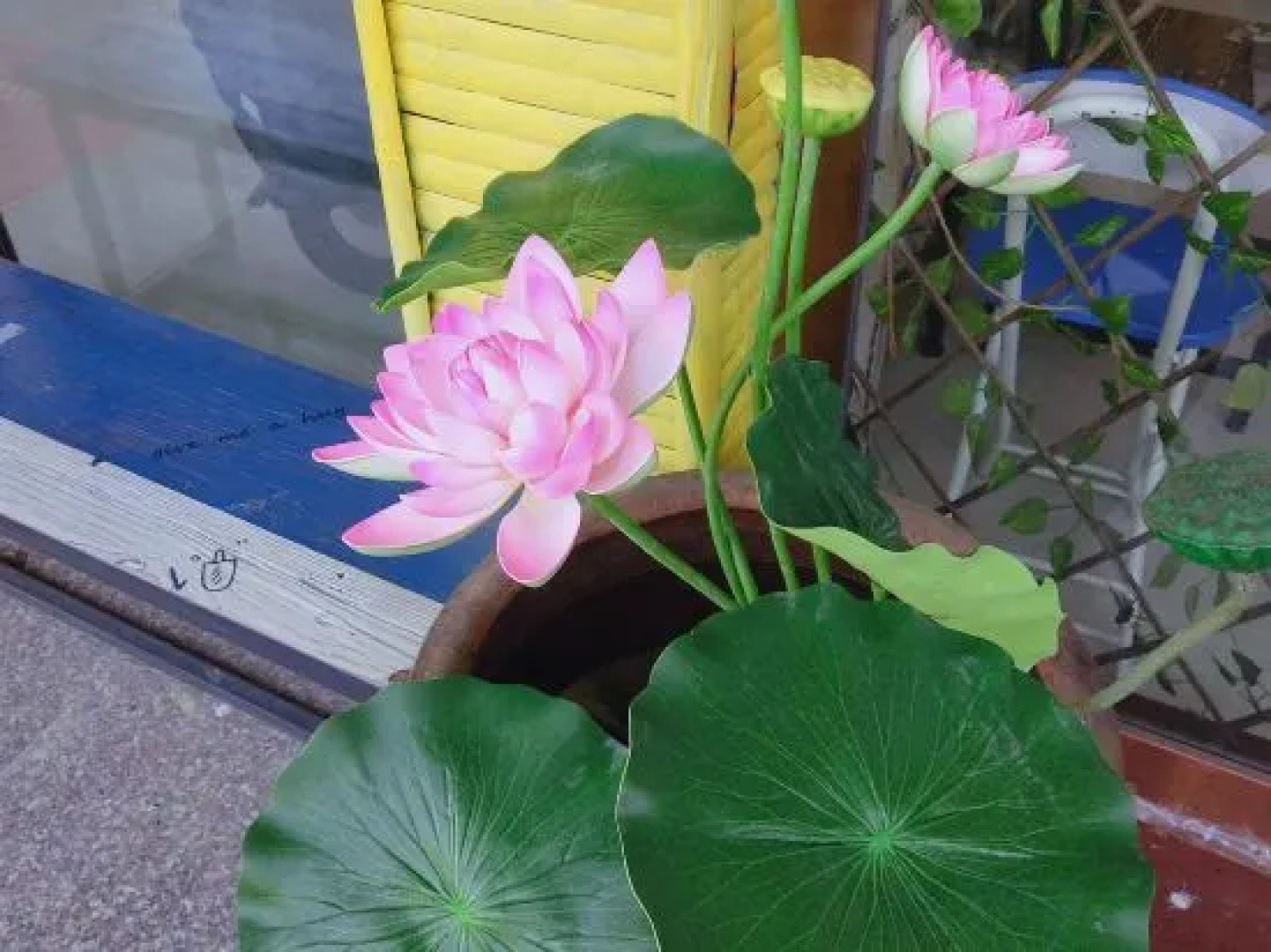 youjian yunlu Hotel in Sanqing mountain