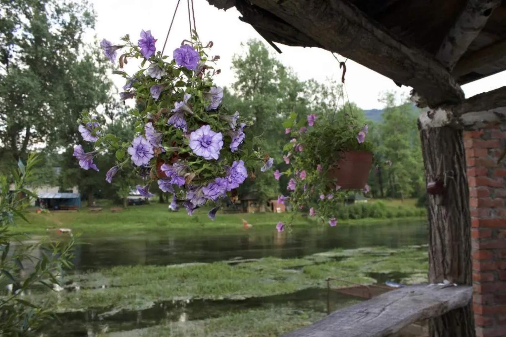 Bed and Breakfast Family Djukic