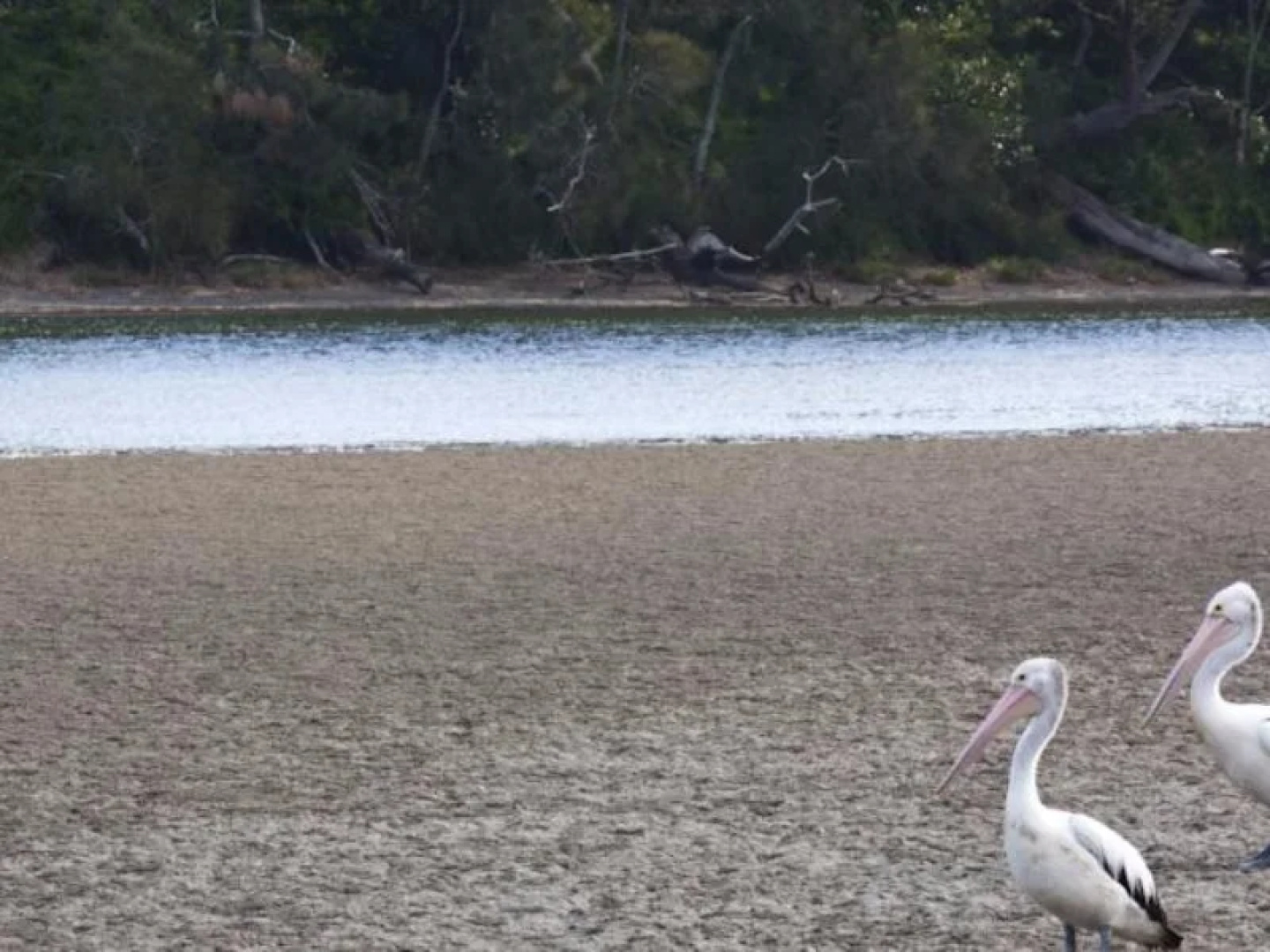 Discovery Parks - Gerroa
