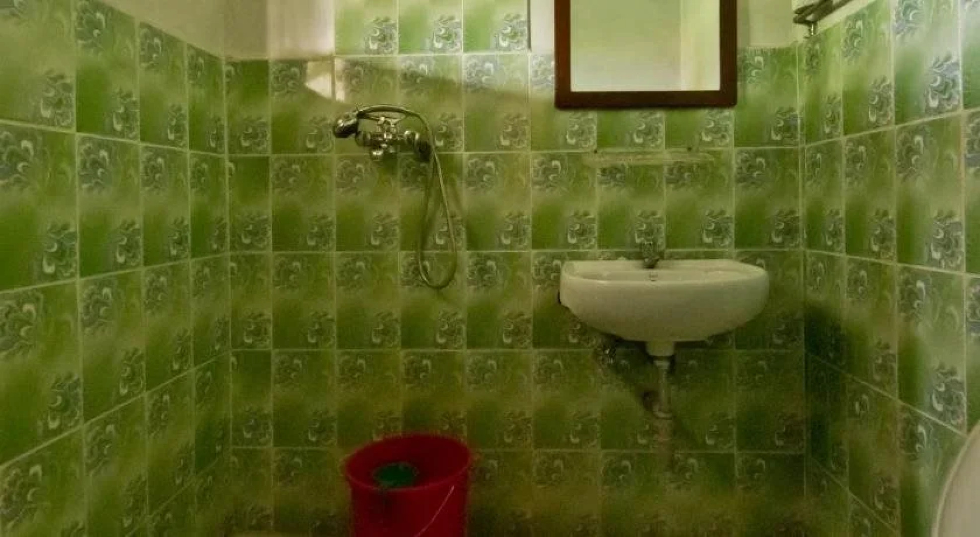 Nature Safari Resort