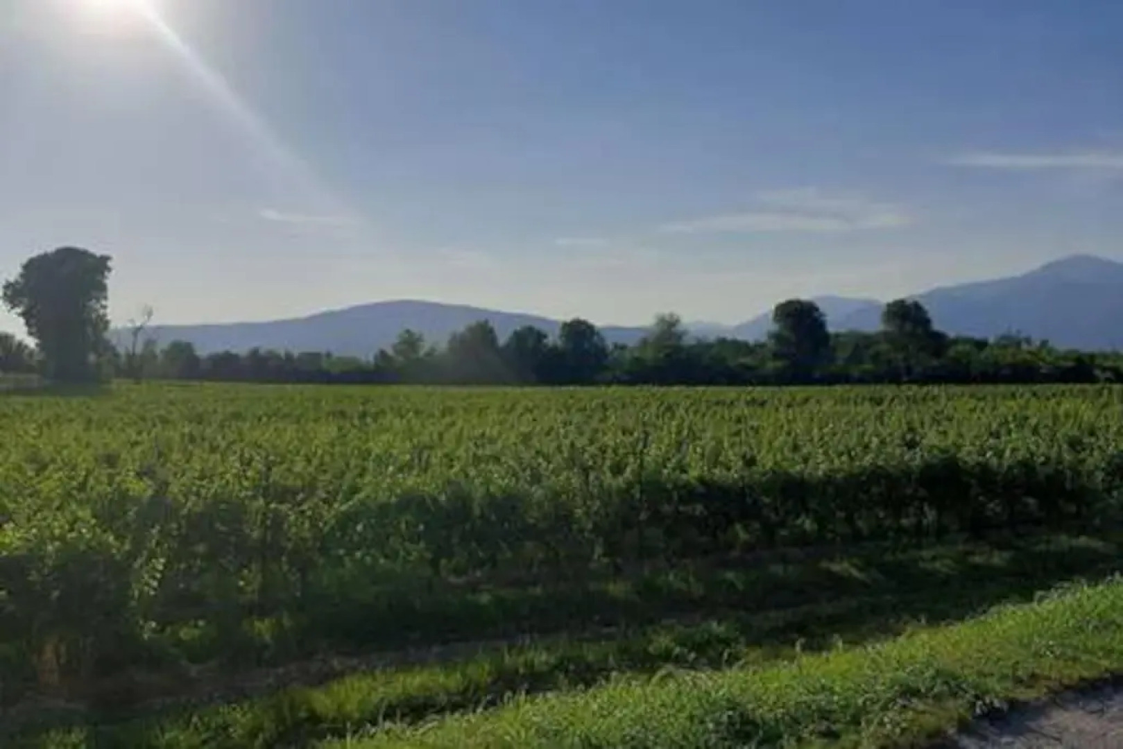 Cozy flat with garden in Franciacorta & Iseo Lake