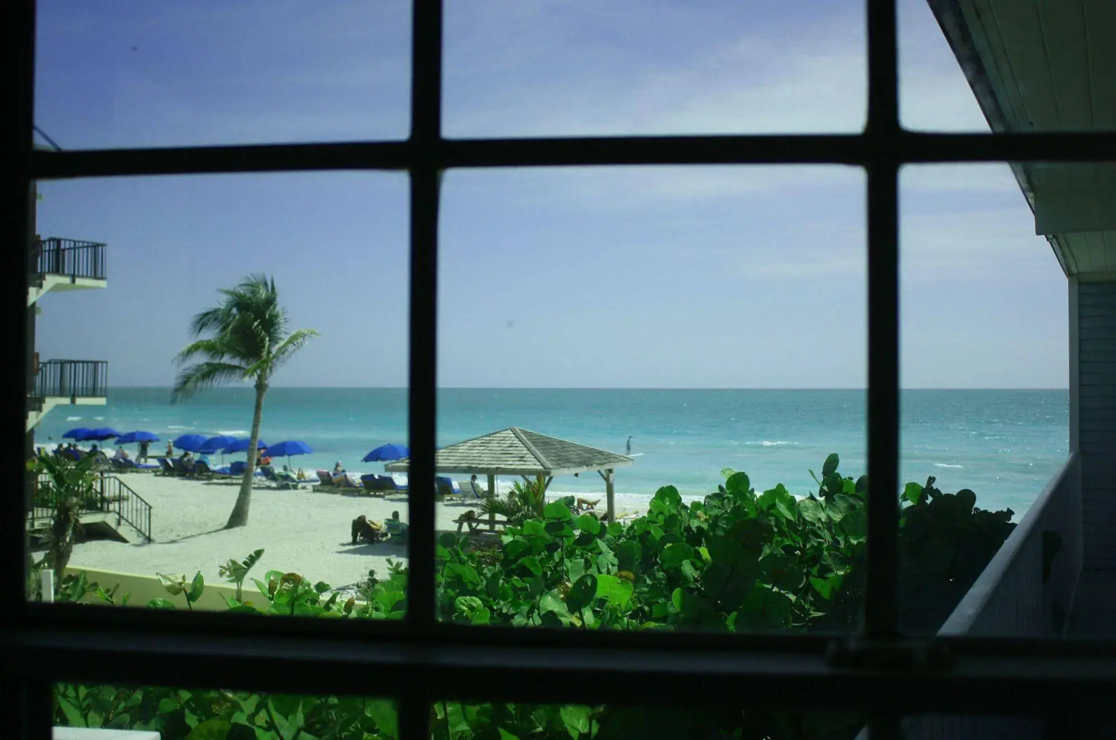 Coquina On The Beach