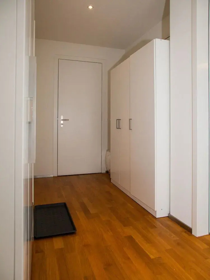 Penthouse Apartments Lakeside