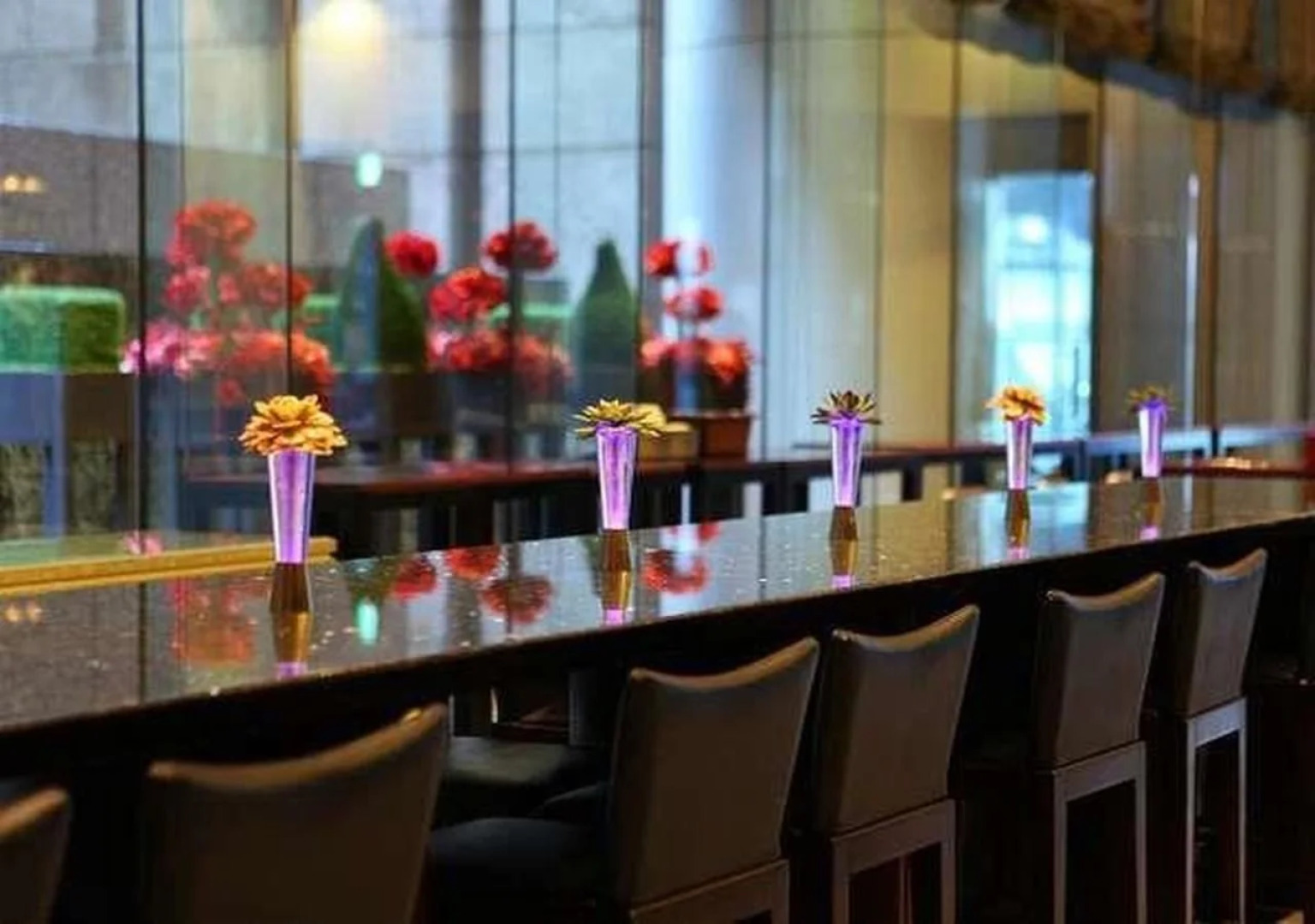 Hotel Villa Fontaine Grand Tokyo - Roppongi