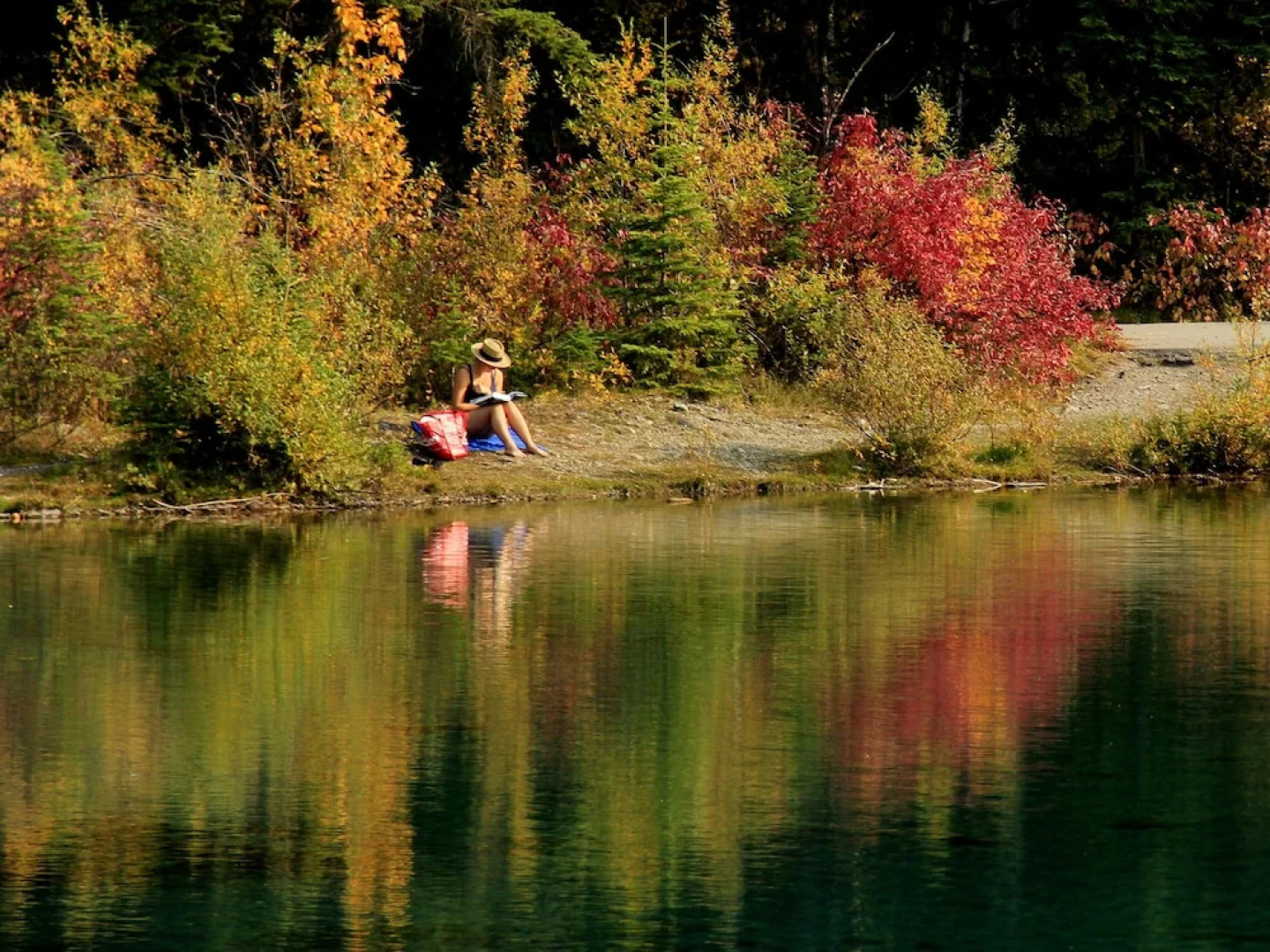 WindTower Resort - 1 BR Suite or 1 Single Room