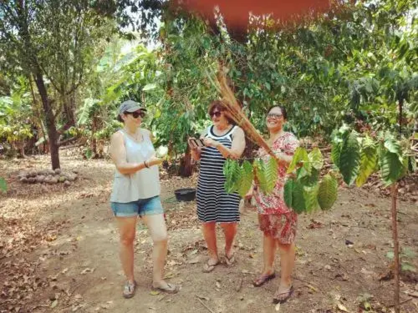 Shibui Garden Bungalows and Restaurant