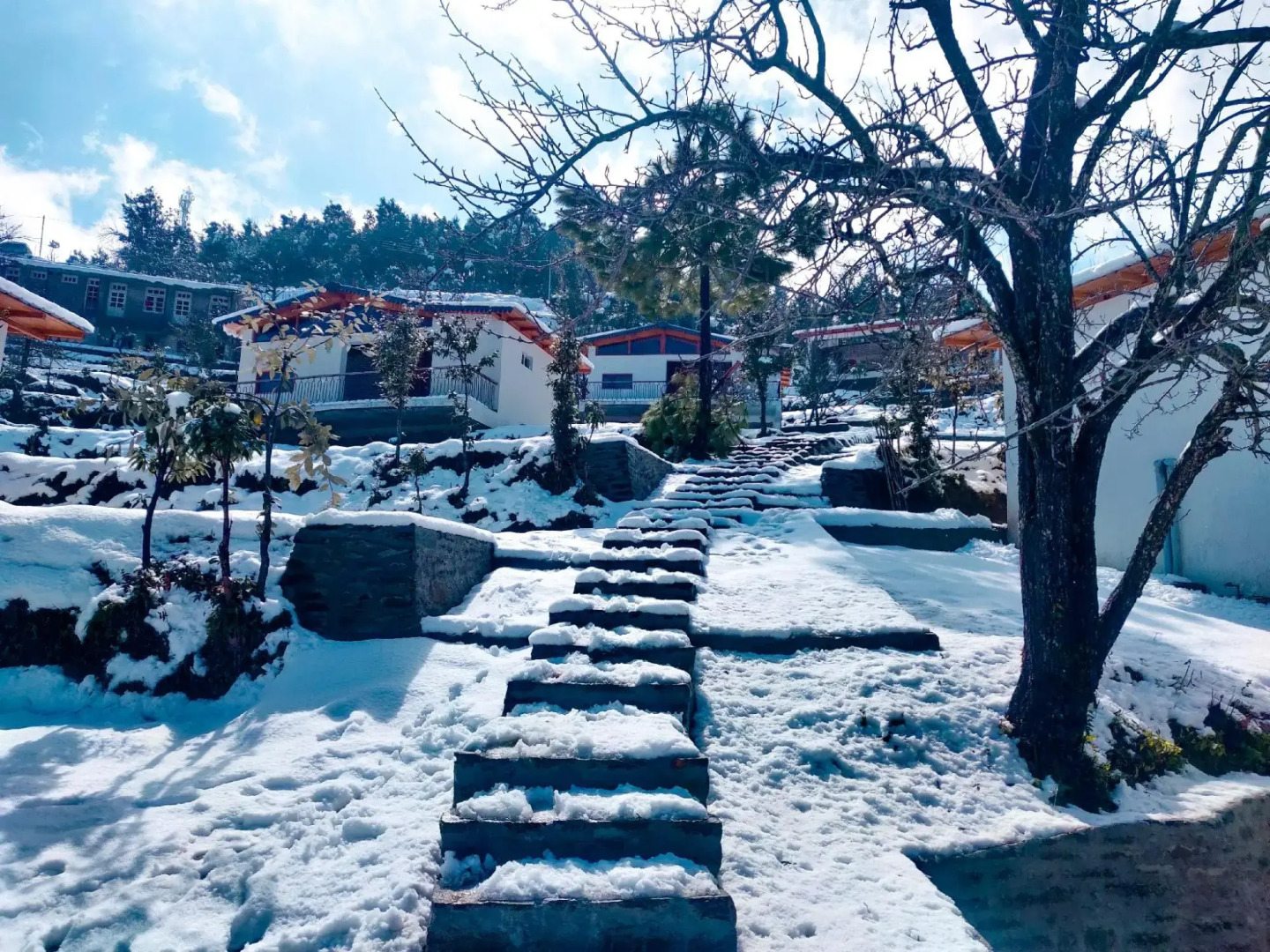 Shivoham Himalayan Resort