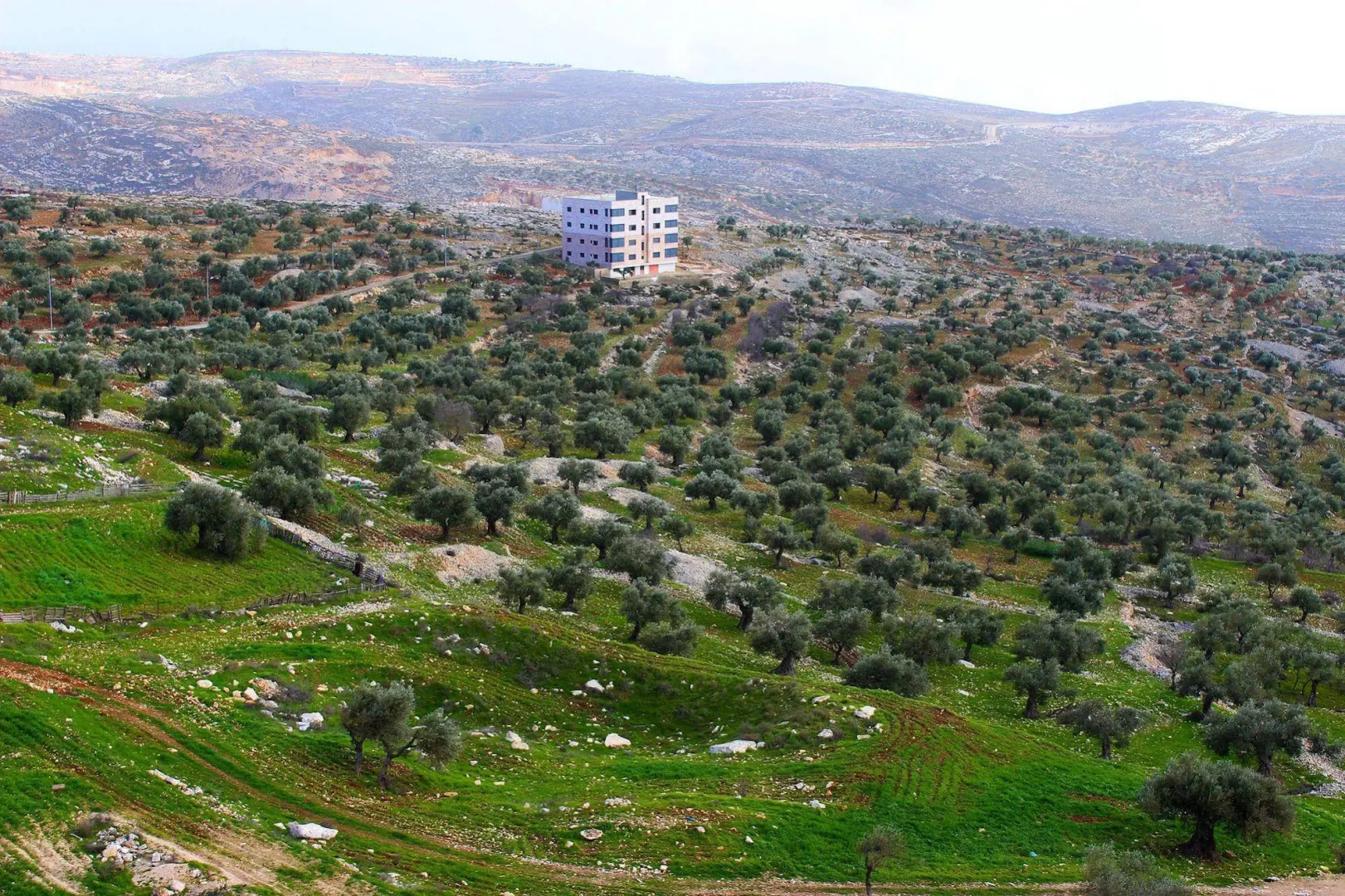 Taybeh Golden Hotel