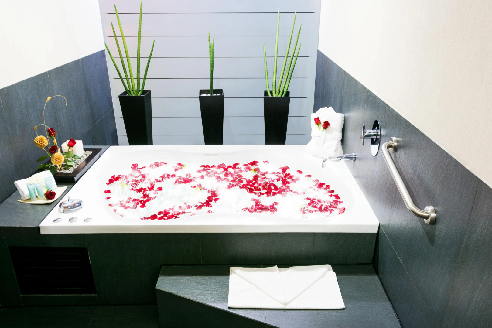 Crowne Plaza Toluca Lancaster by IHG