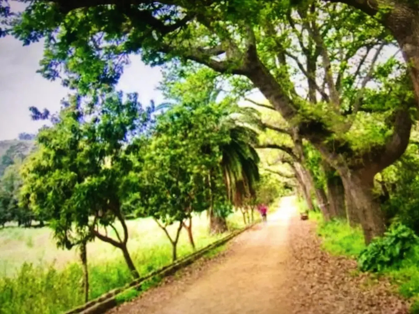 House With 2 Bedrooms in Teror, With Wonderful Mountain View, Enclosed