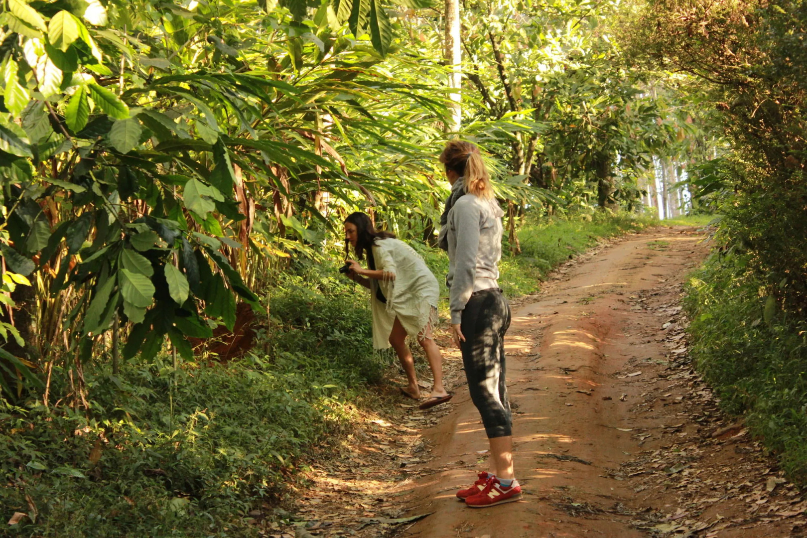 Season7 The Nature Resort - Munnar