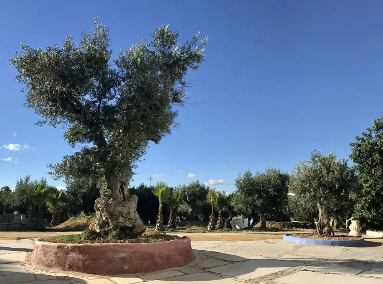 Hotel Capela das Artes