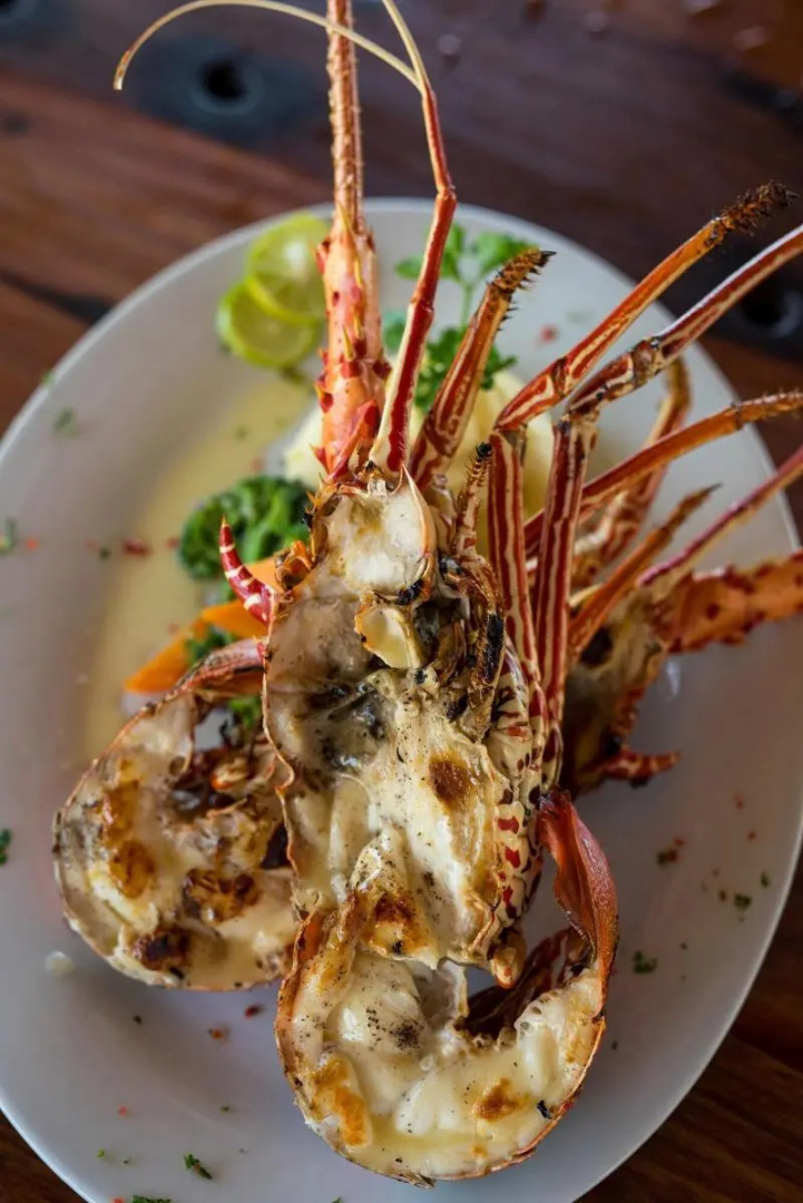 The Island - Pongwe Lodge - Adults Only