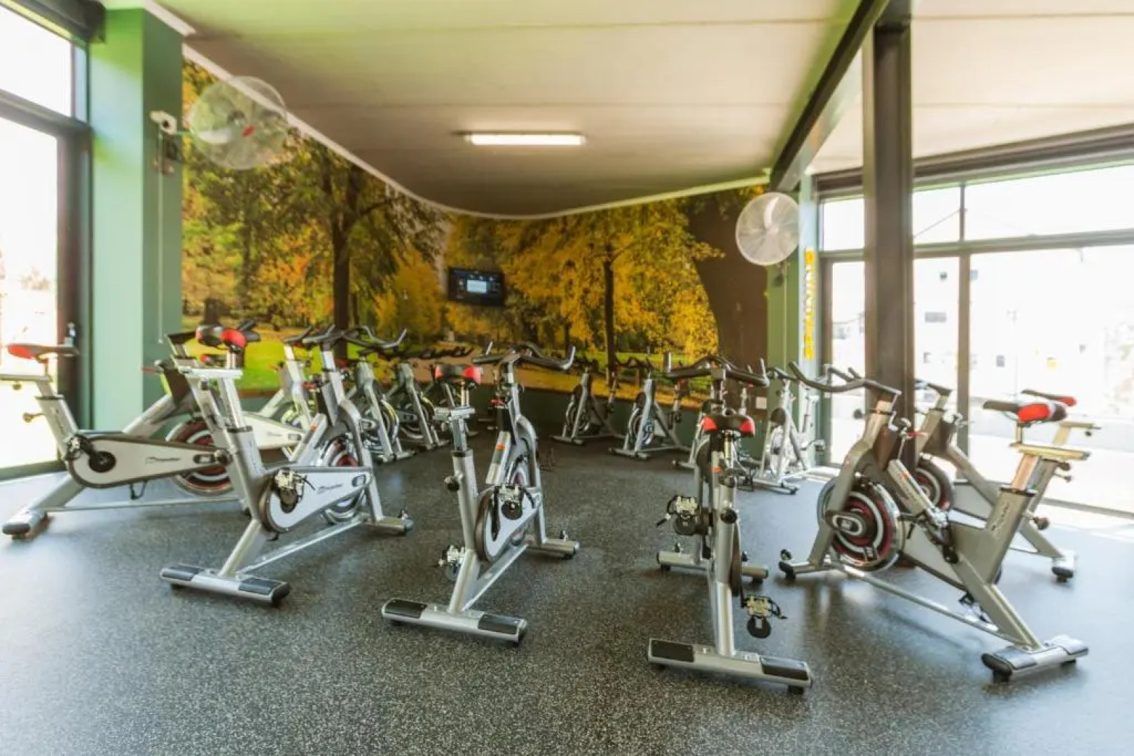 Alimama Spaces: Vik Whisken