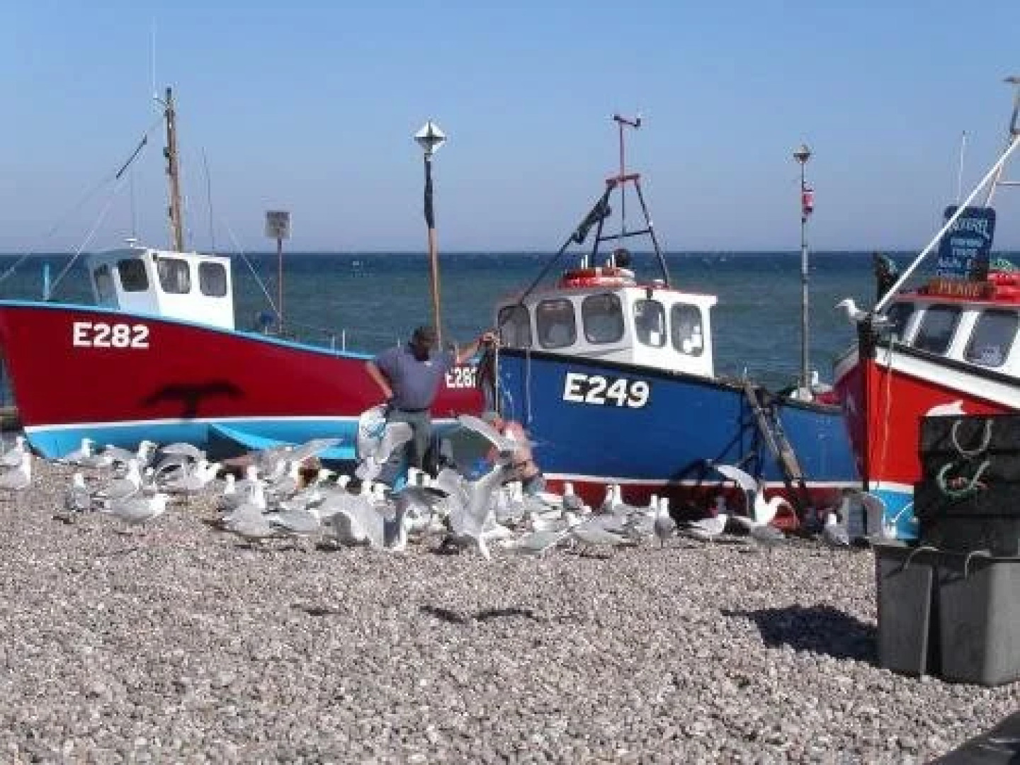 Sid Valley Country House