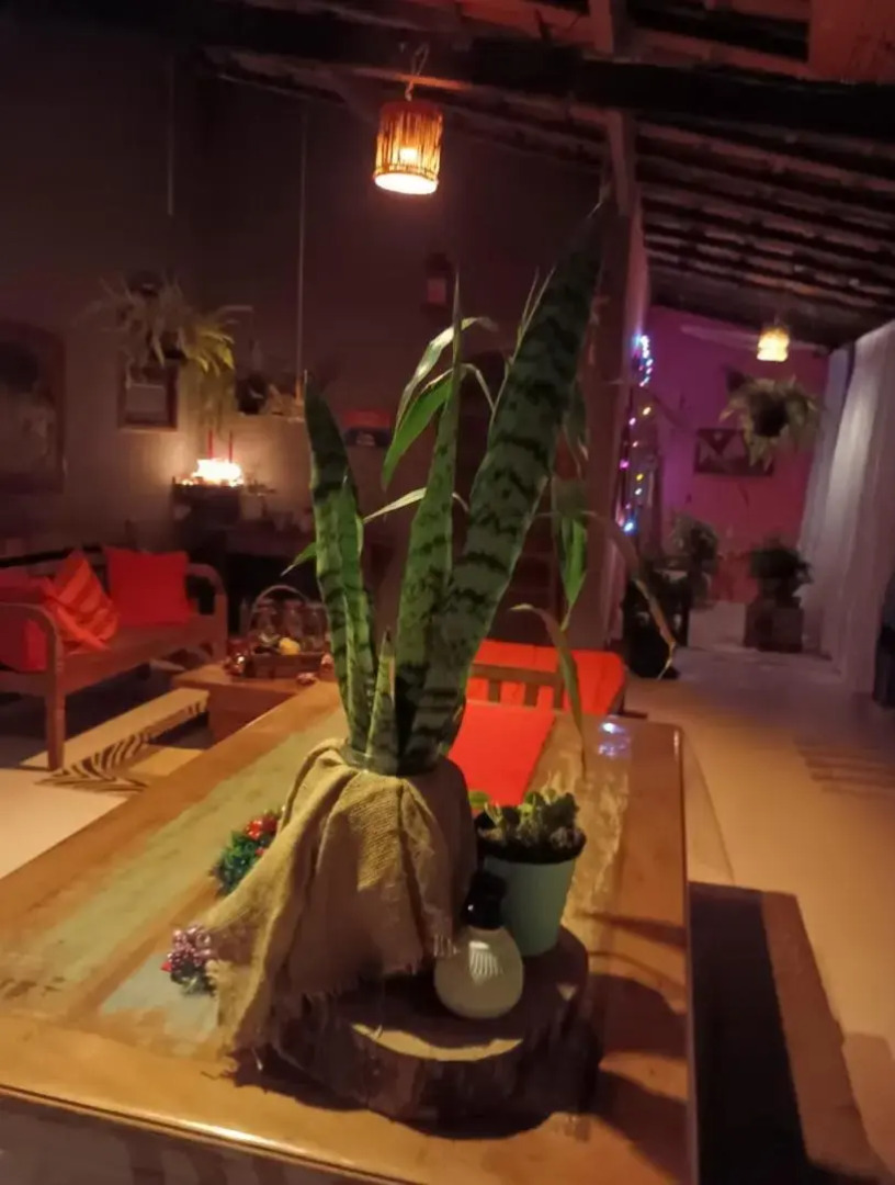 Bed And Breakfast Le Boutique Paula