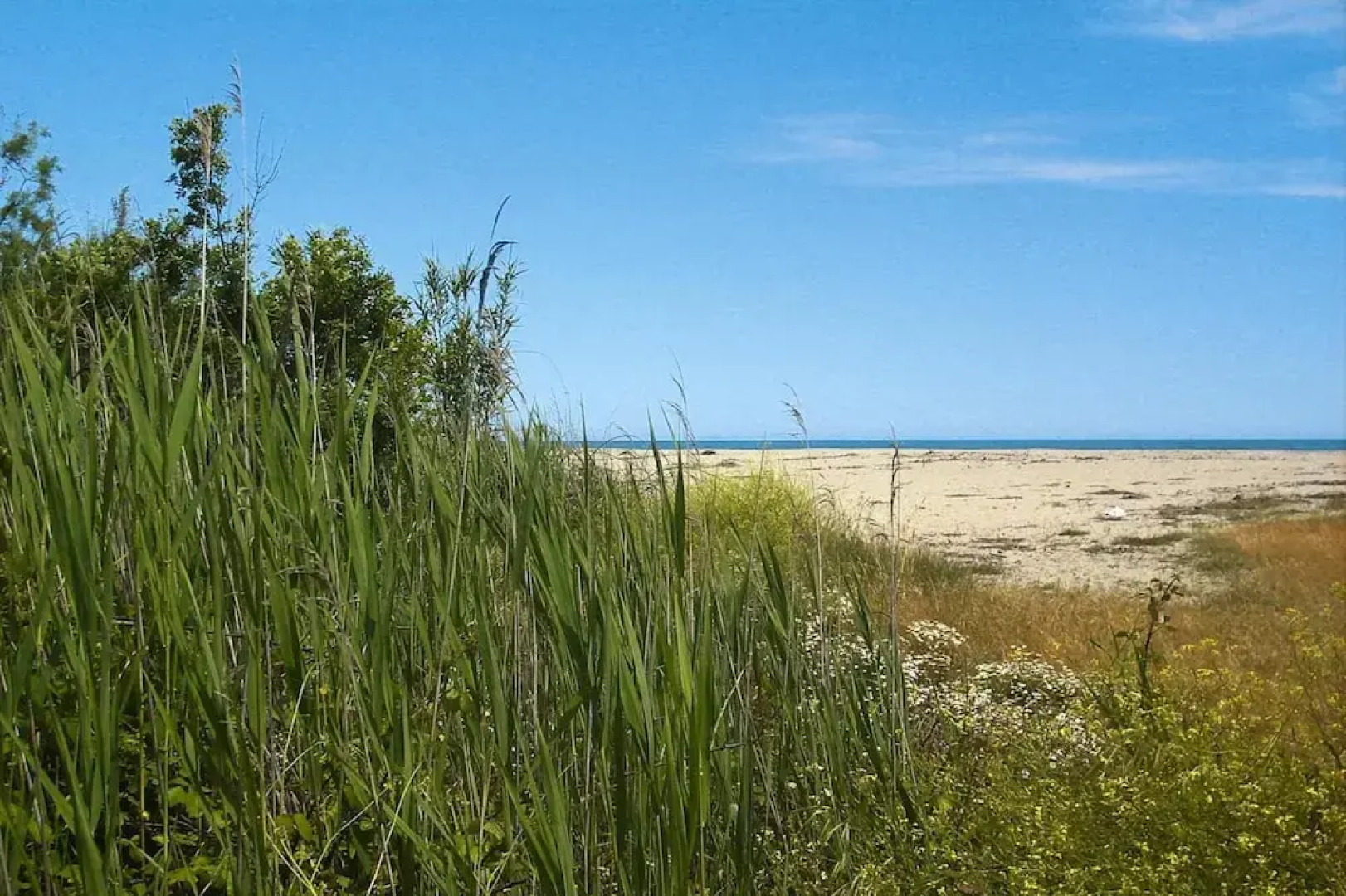 Apartment in Ghisonaccia Near Sandy Beach