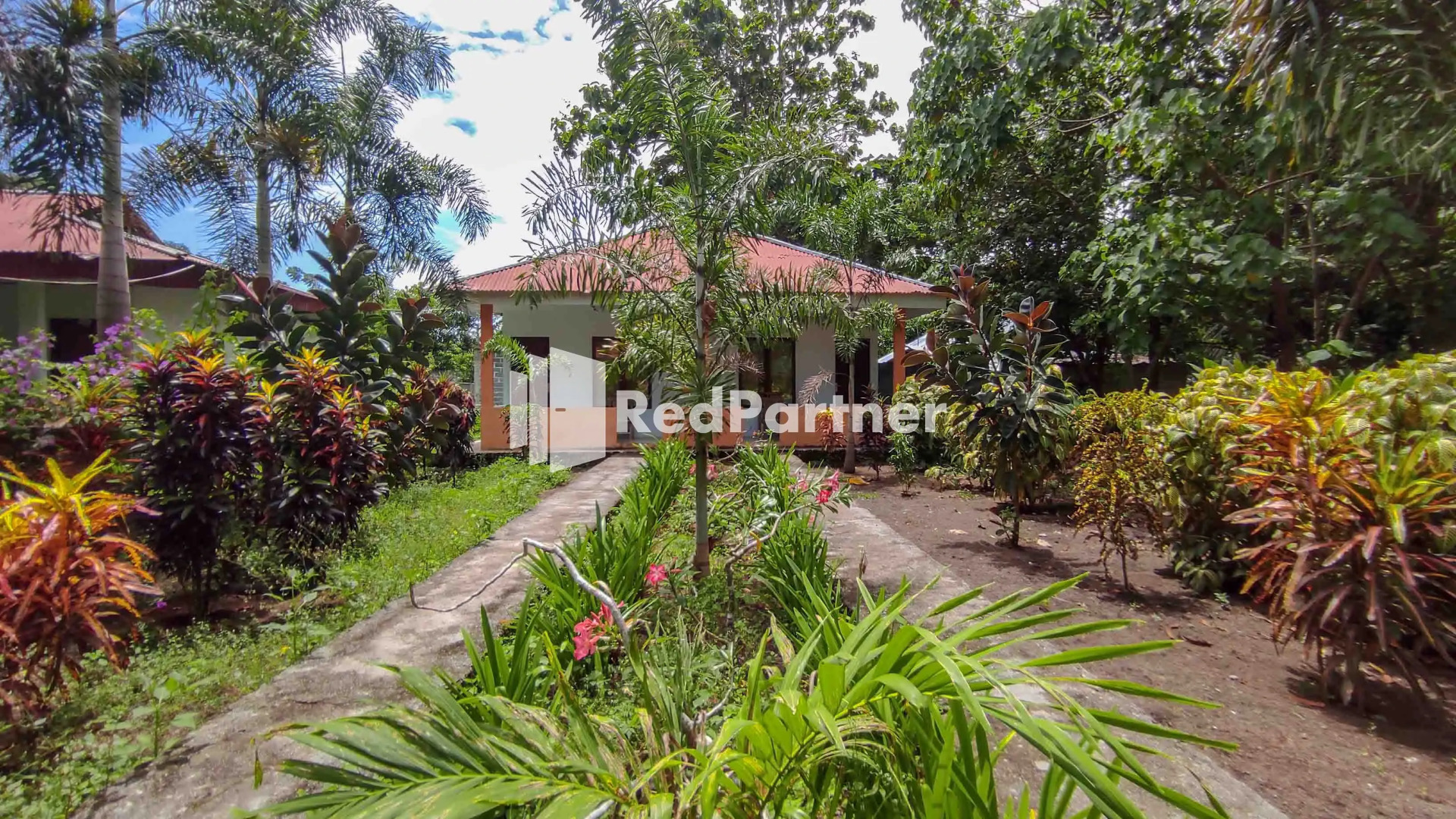 OYO 90988 Tangkoko Jungle Homestay