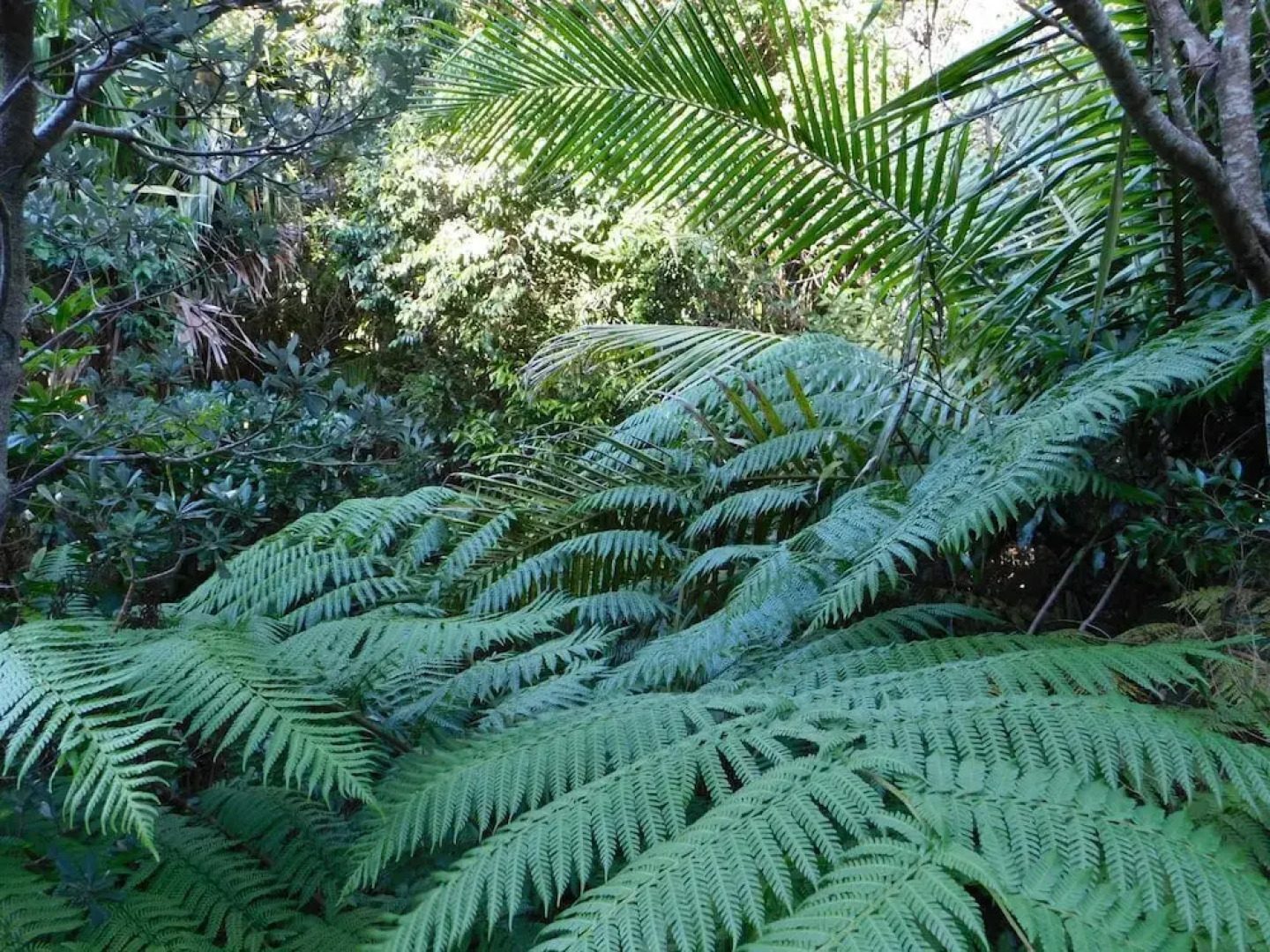 Beachport Bed and Breakfast