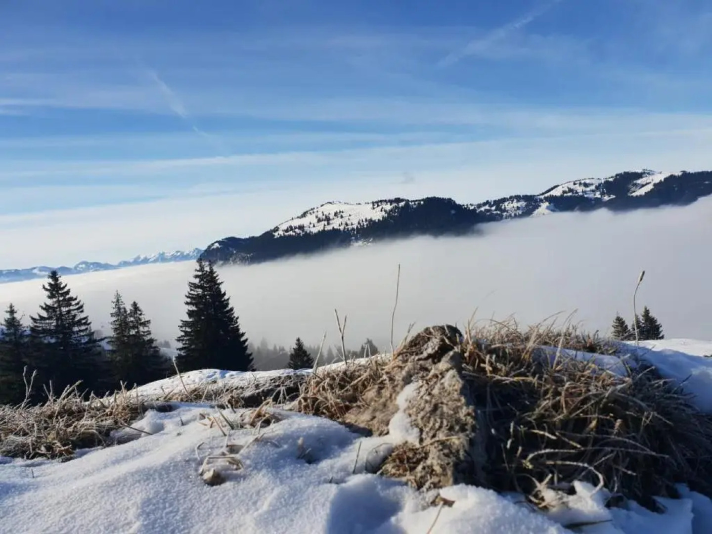 Moderne FeWo im Allgäu mit Spülmaschine