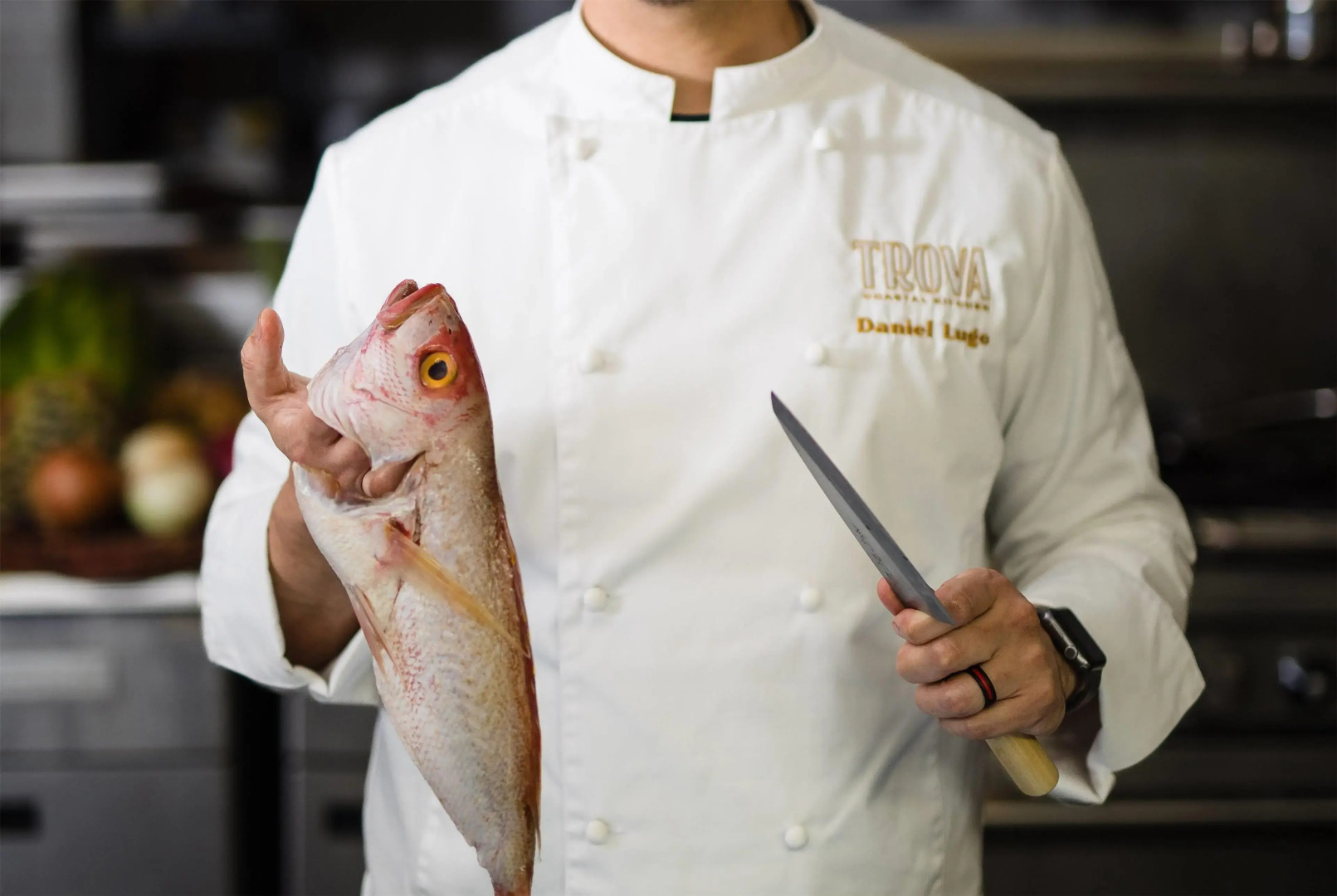 Wyndham Palmas Beach and Golf Boutique Resort