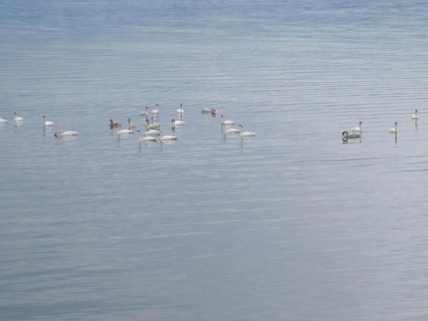 Future Friends Bed & Breakfast