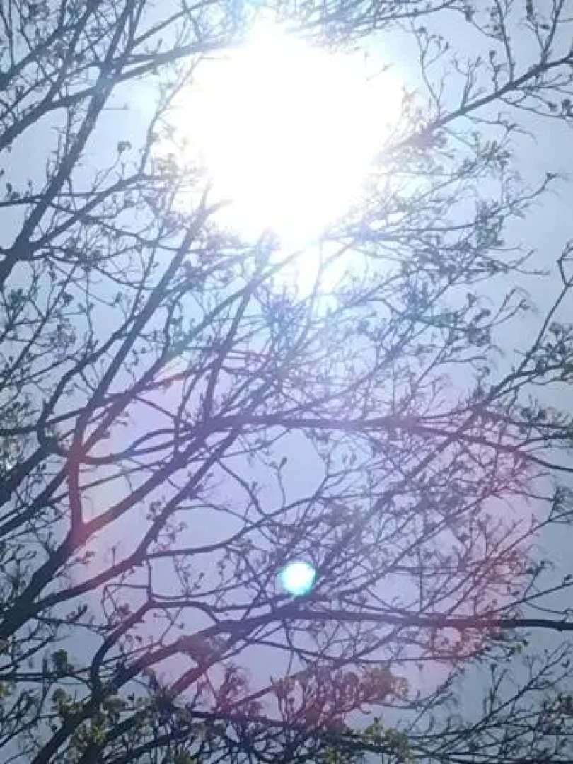 The Renwick Clifton House