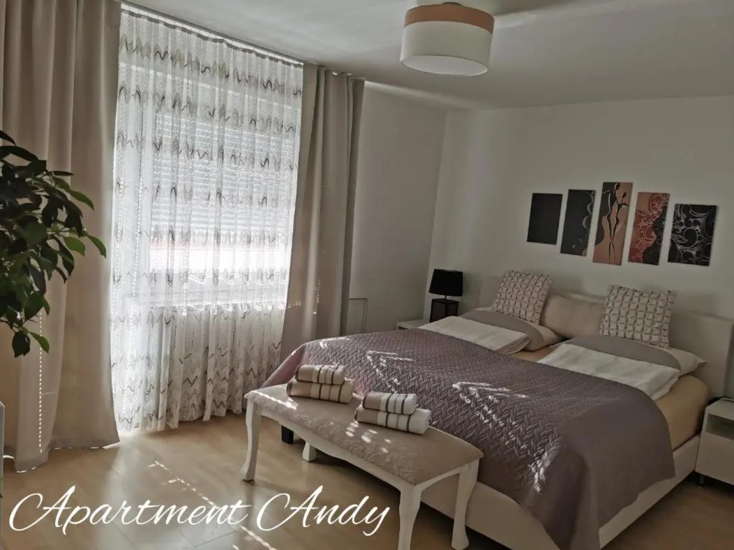 Apartment Andy