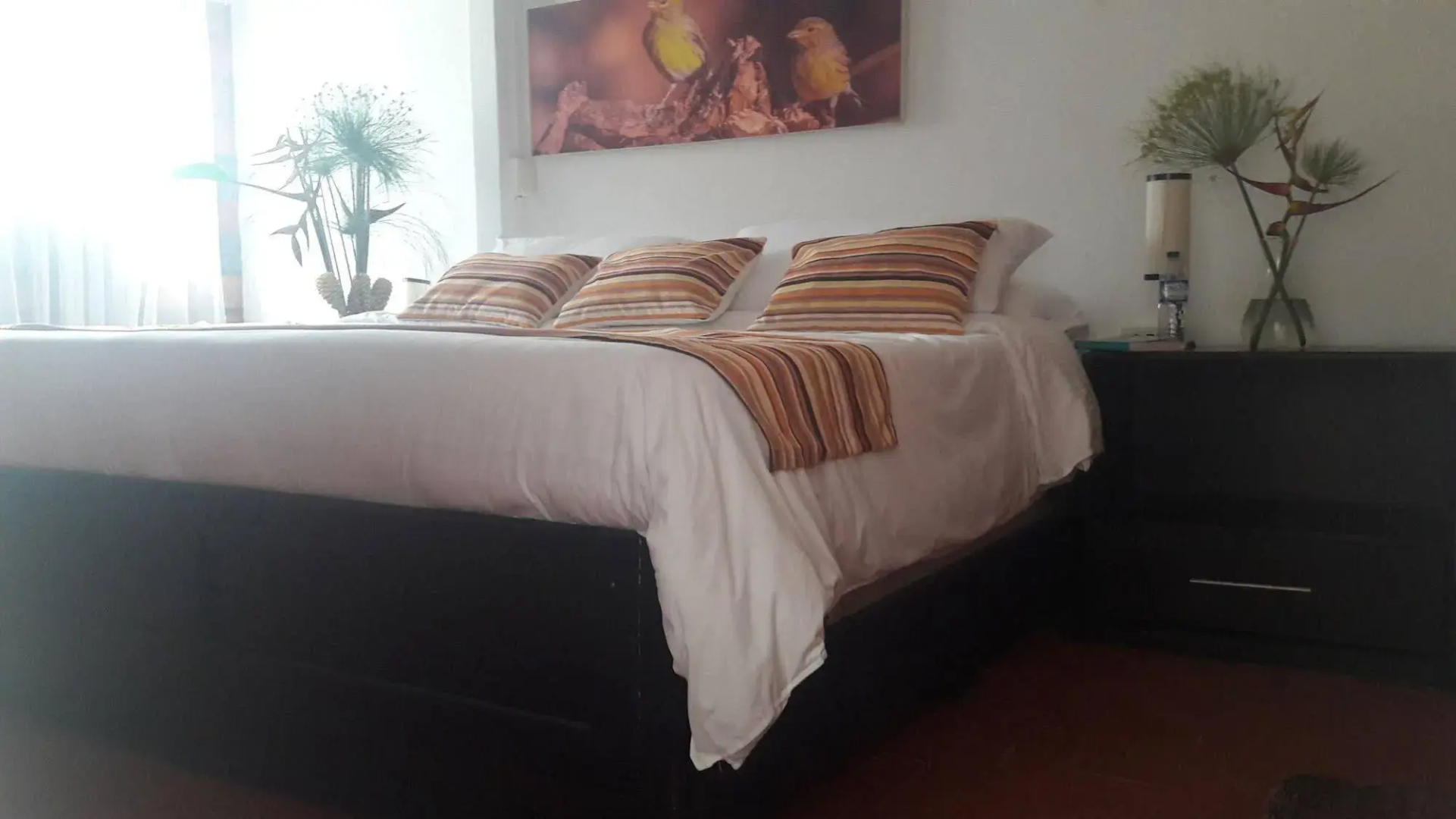 Entrepalmas Ecolodge Hotel Campestre