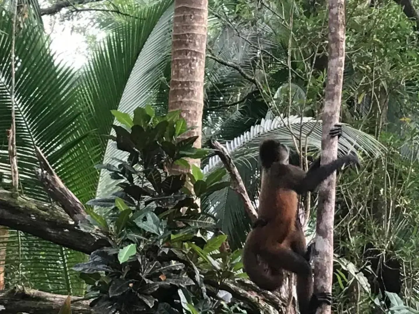 Palapa Hut Hostel & Camping