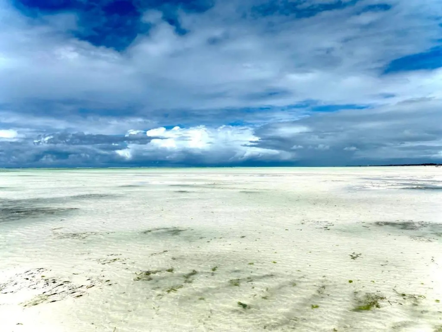 Villa Orchid Beach Guest House