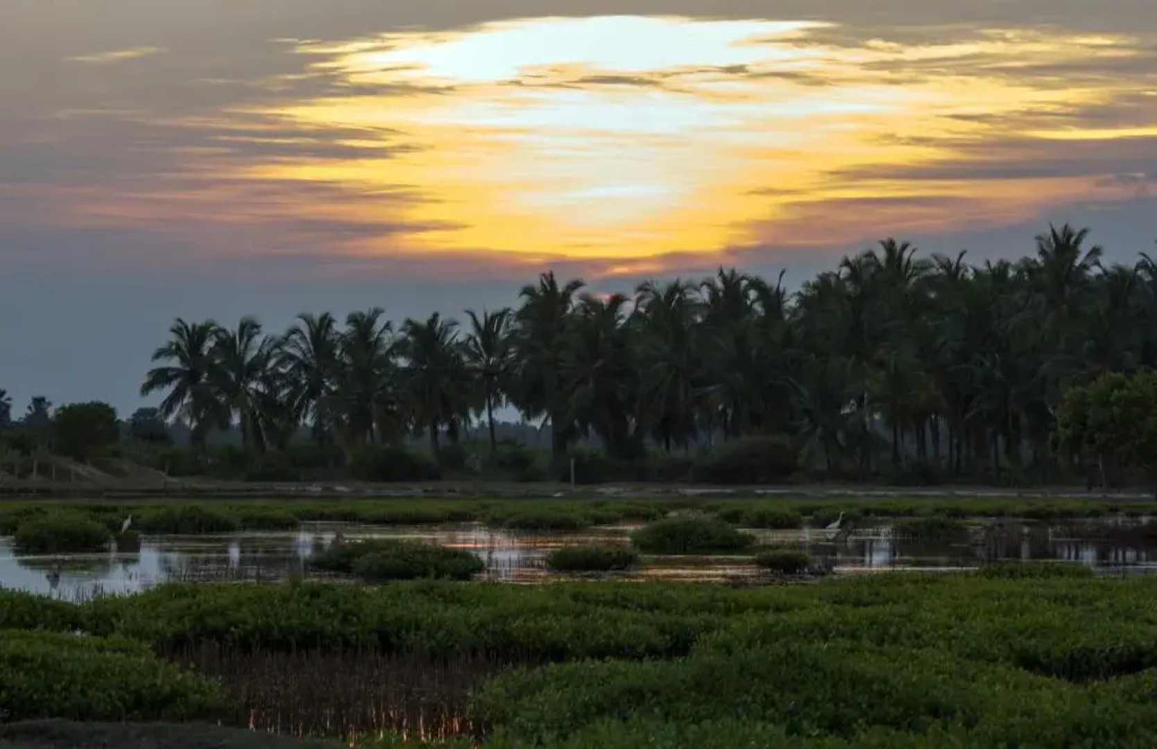 Five Trees Beach Resort Hotel