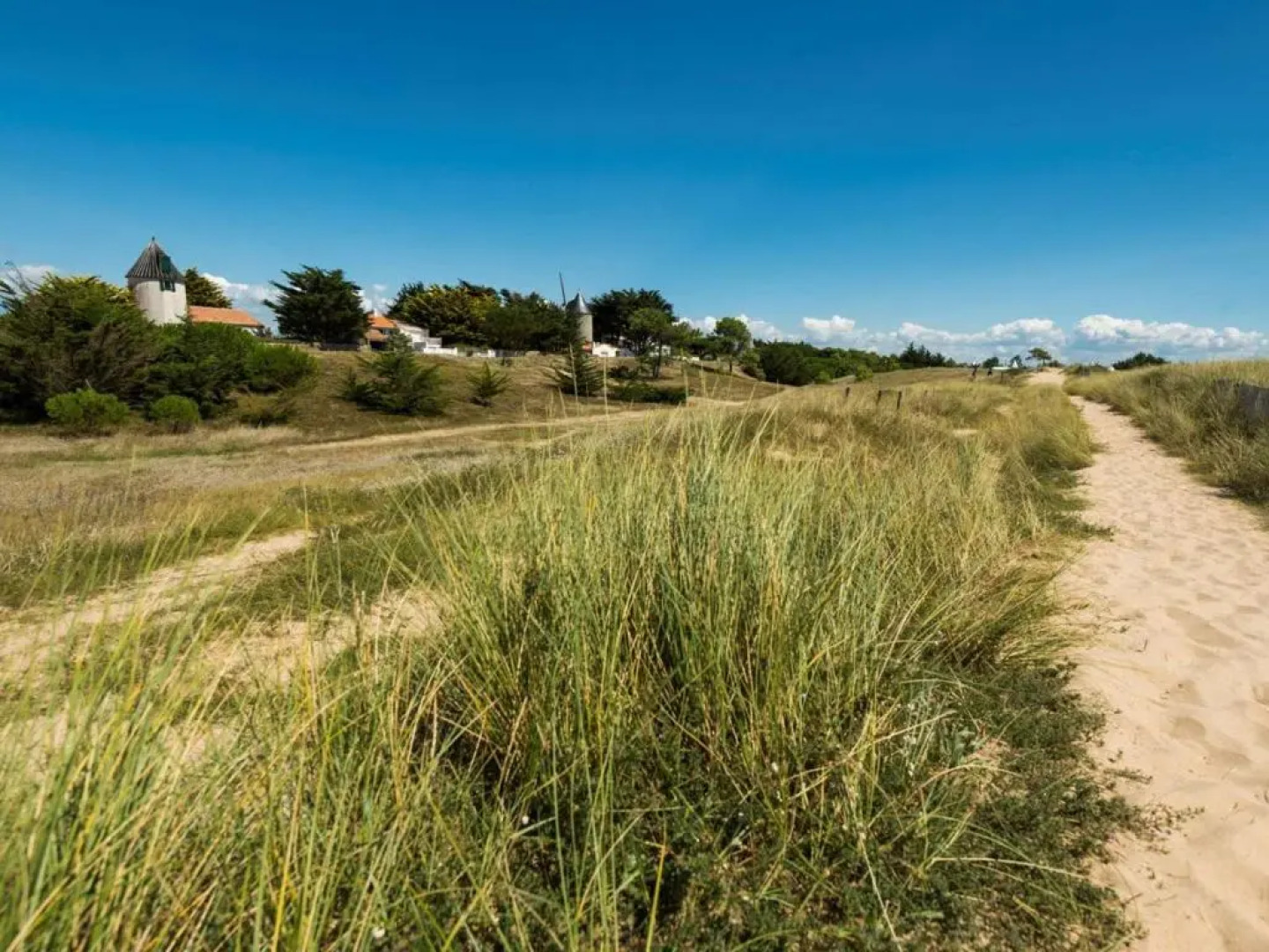 Appartement La Guérinière, 3 pièces, 5 personnes - FR-1-224B-107