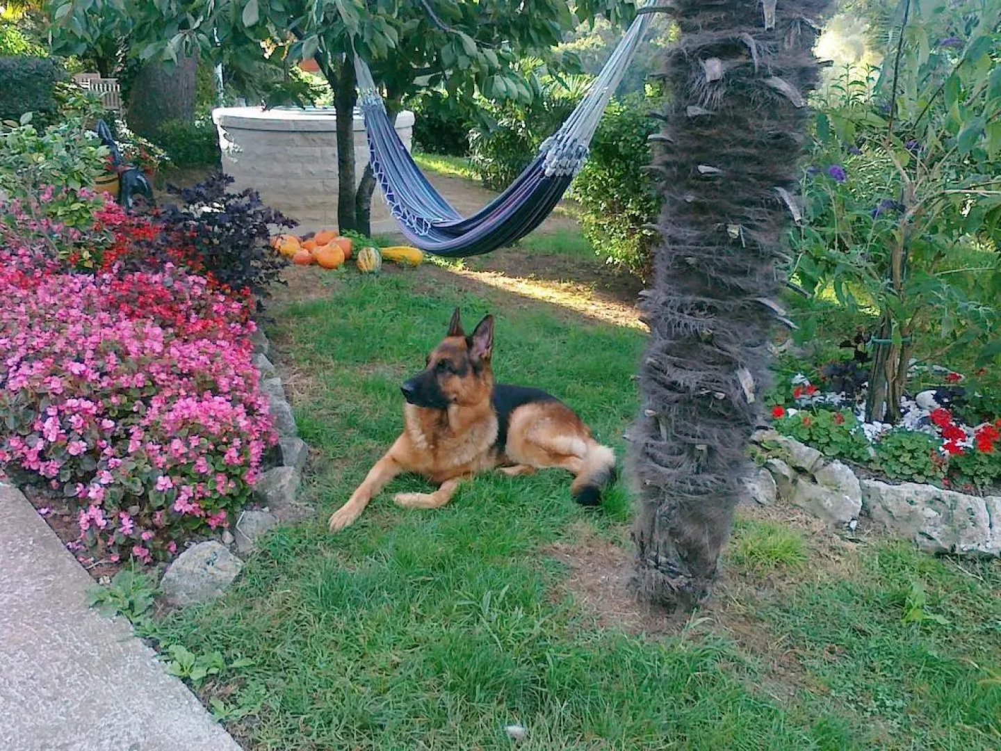 Apartments and Rooms Zudič