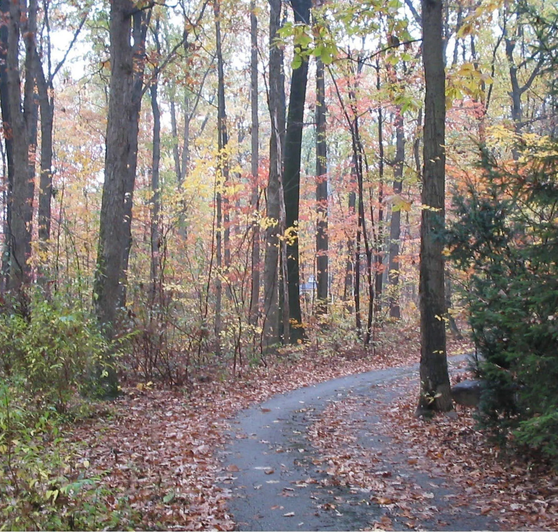 Bear House Bed and Breakfast