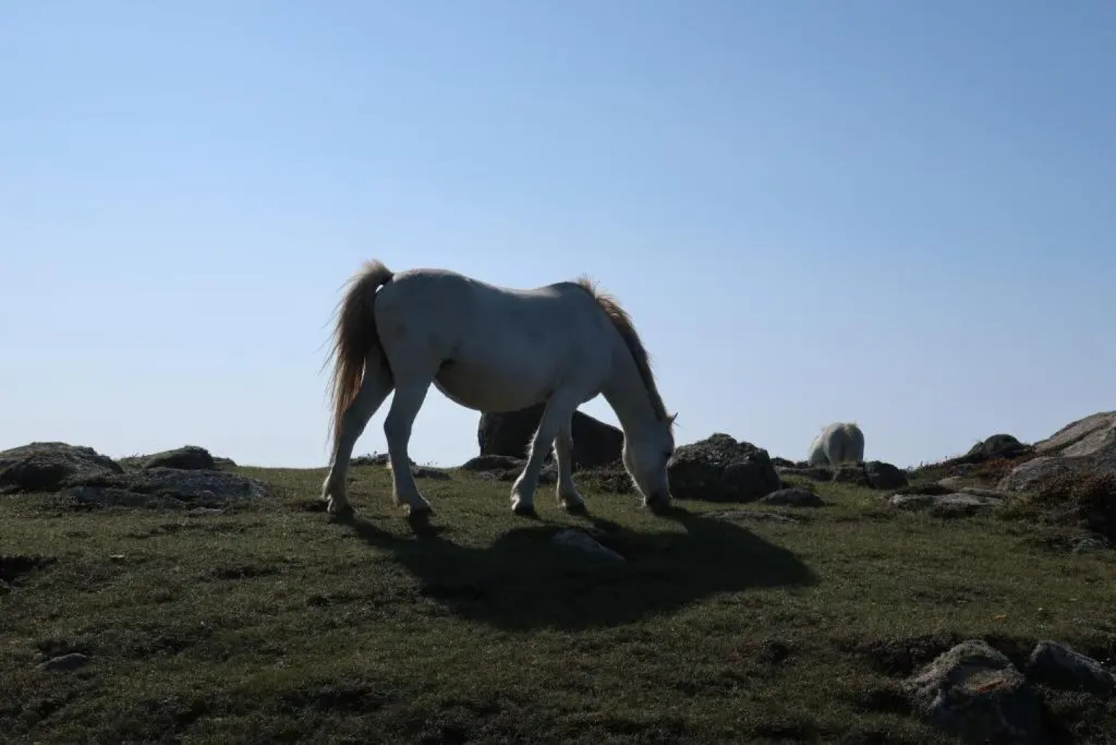 Best Beach 2018 Barafundle & The Hidden Gem