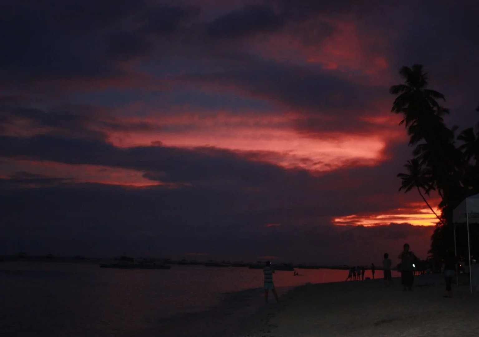 Alona Tropical Beach Resort