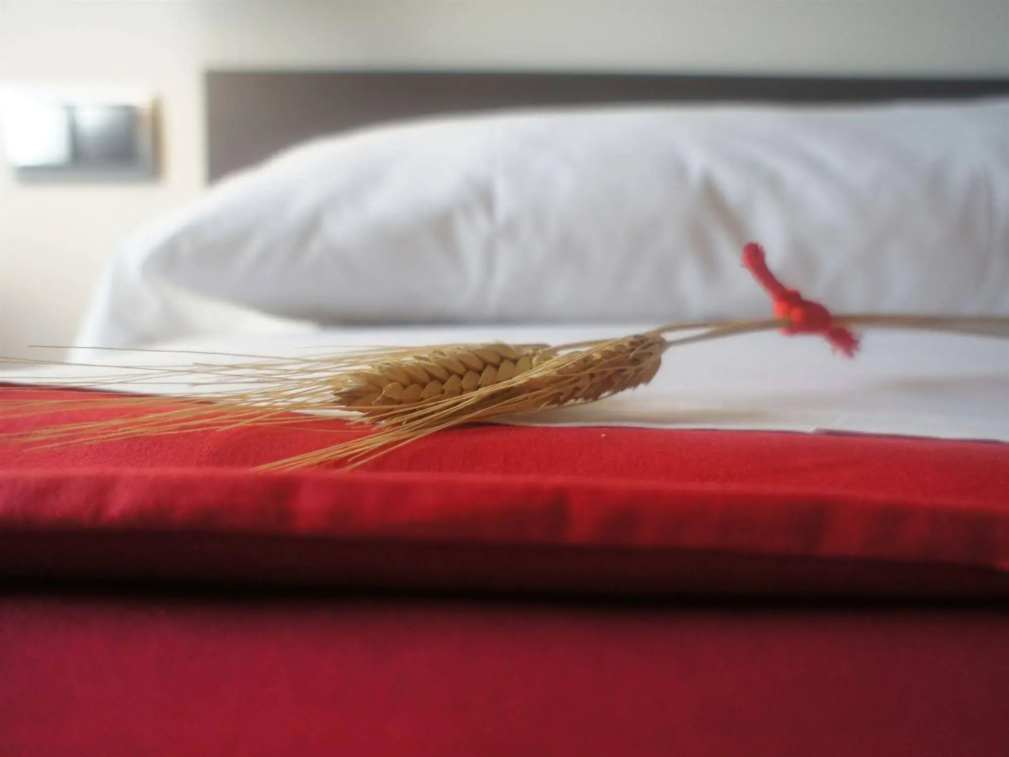 Seminari Allotjaments