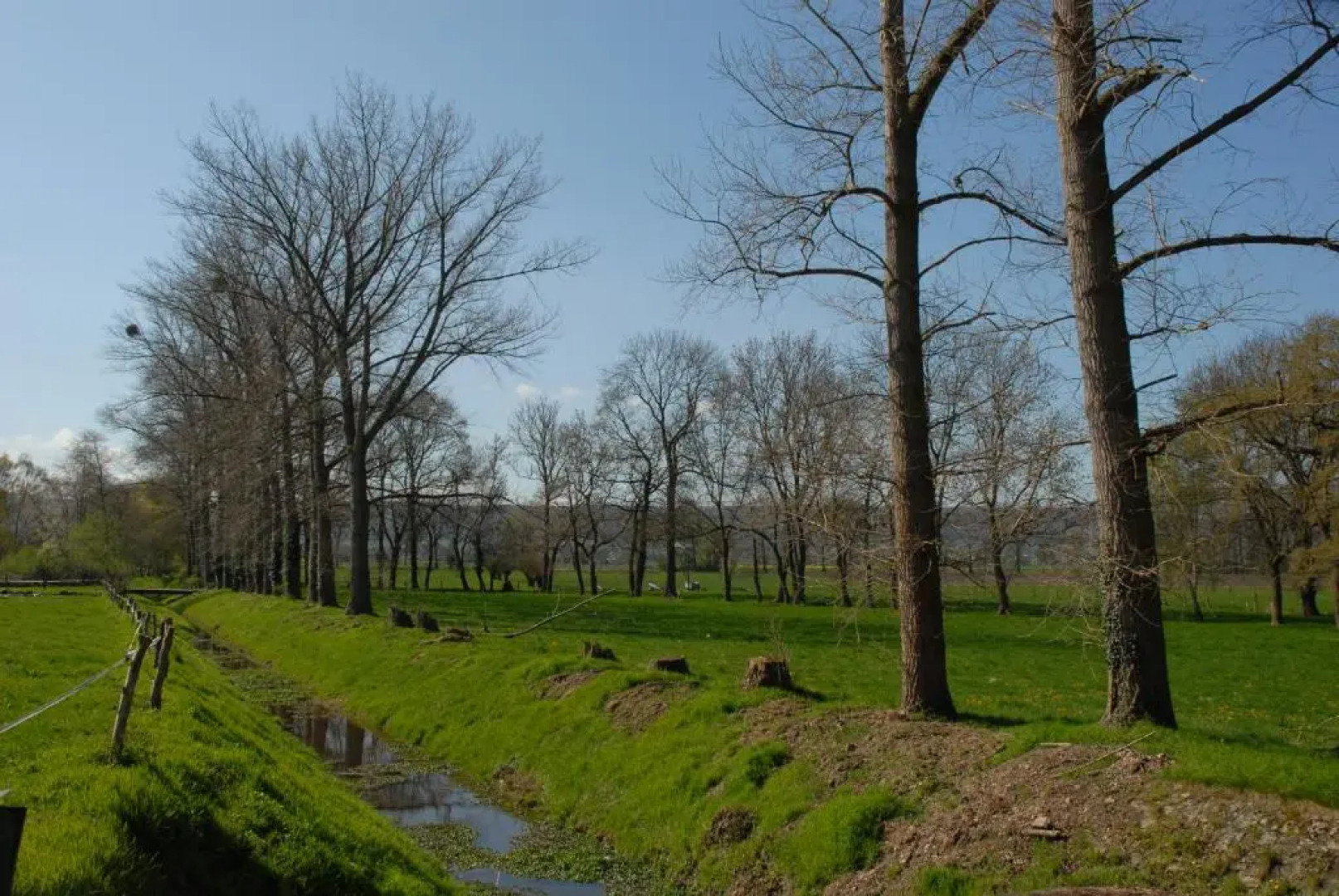 Wohlfühlapartment in Minden