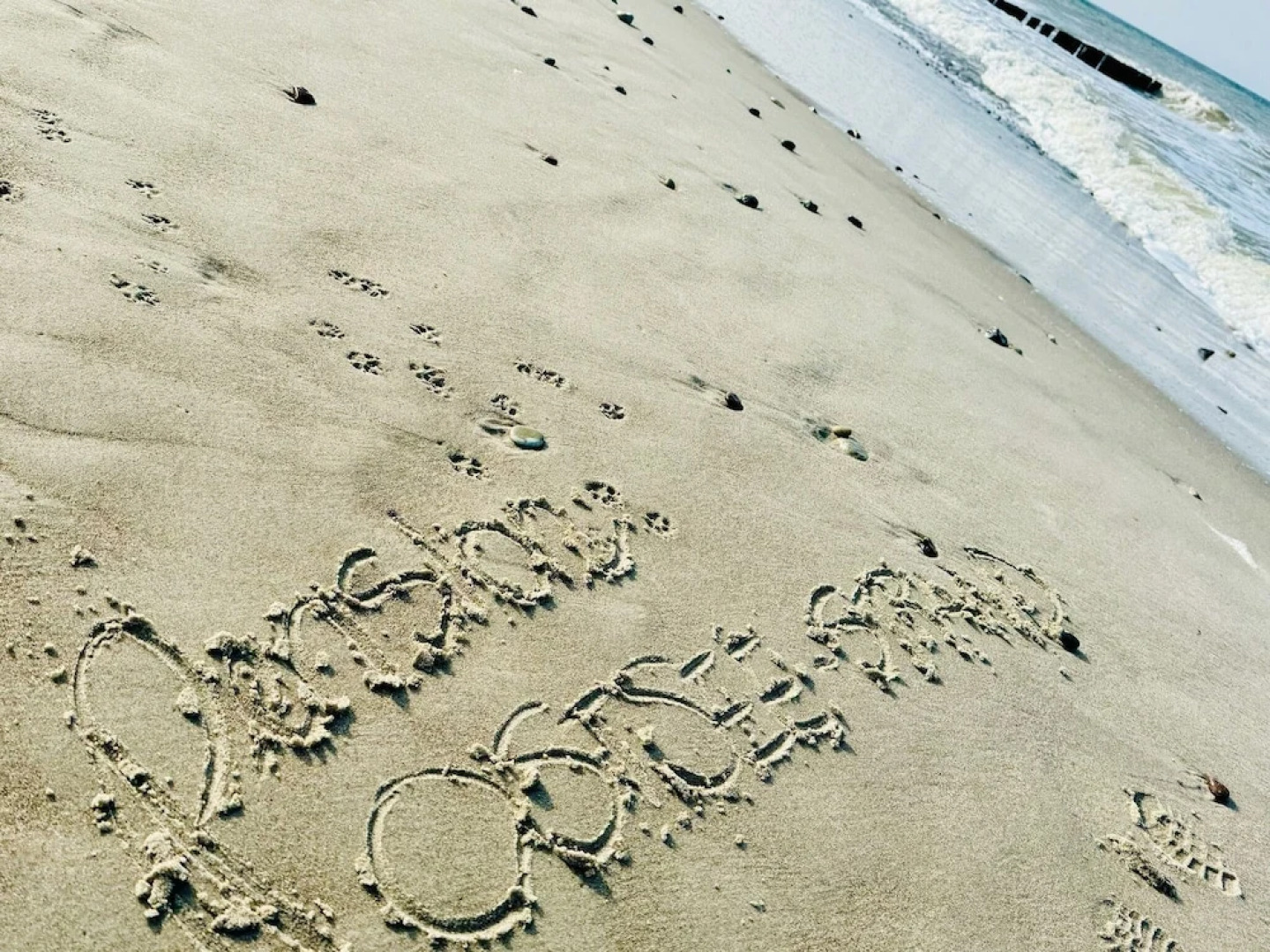 Hotelpension Windflüchter