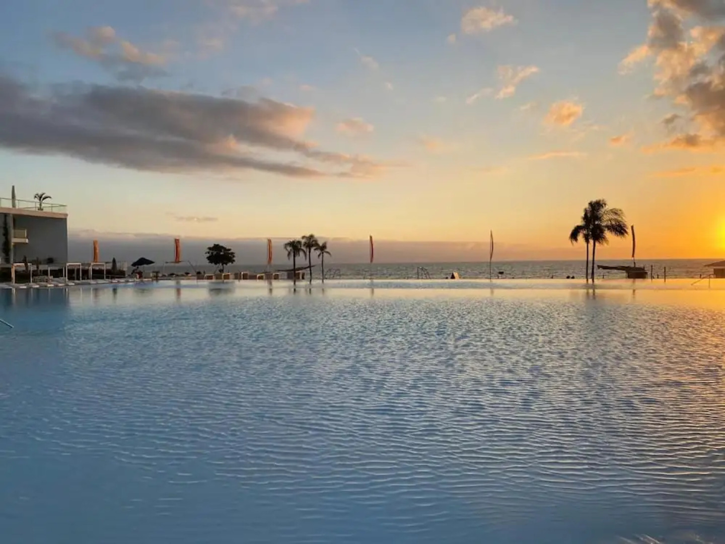 Aria Ocean 188 Flamingos