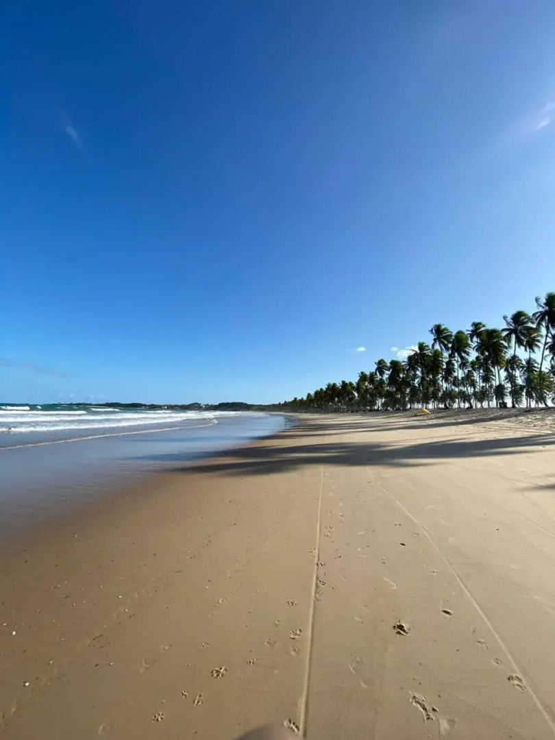 Reserva Do Paiva - A Melhor Casa Para Temporada