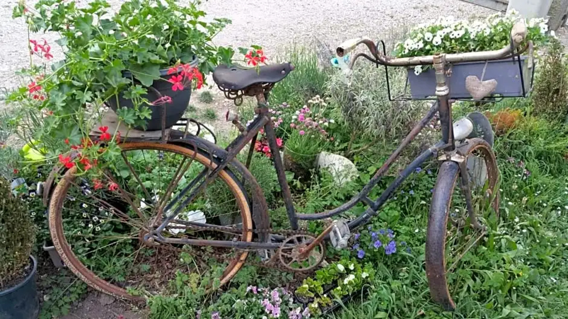 BASSE-COUR DE MONTIN au 256 chemin de la rocaille à 38510 VEZERONCE CURTIN