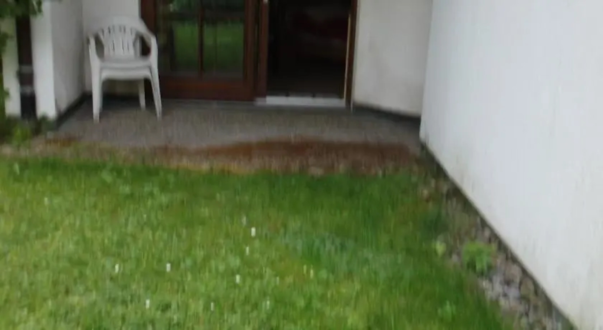 Appartment Mohnblume