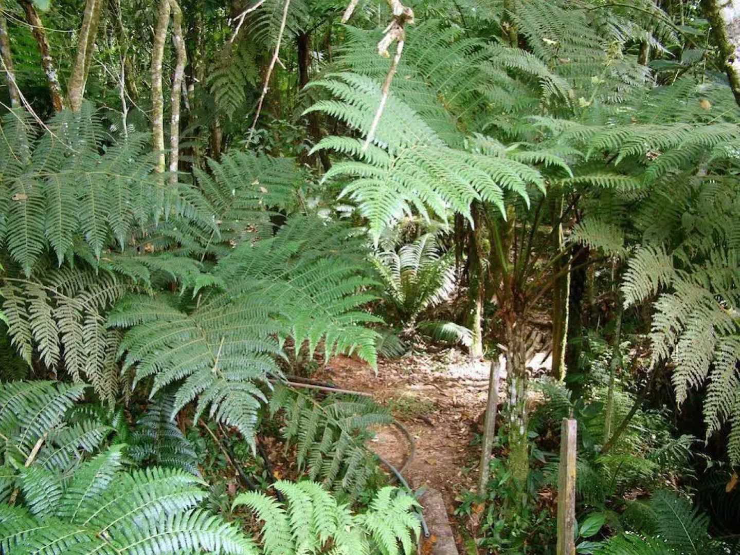 Pousada Candonga Da Serra Hotel