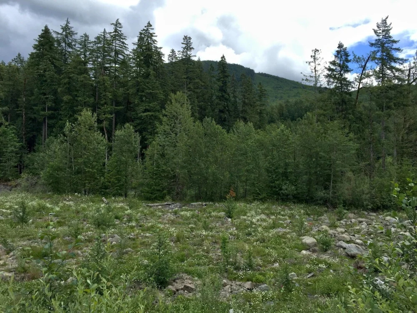 Mt. Baker Lodging Cabin 40 – Pool Table, Sleeps 11! by MBL