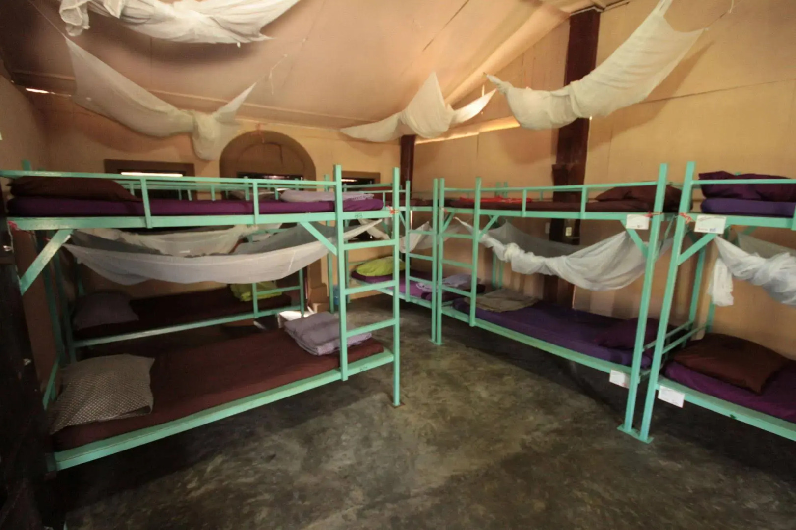 Purple Monkey Backpackers