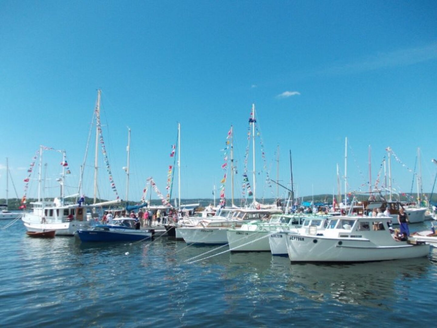 Christina's B&B - Lake Macquarie