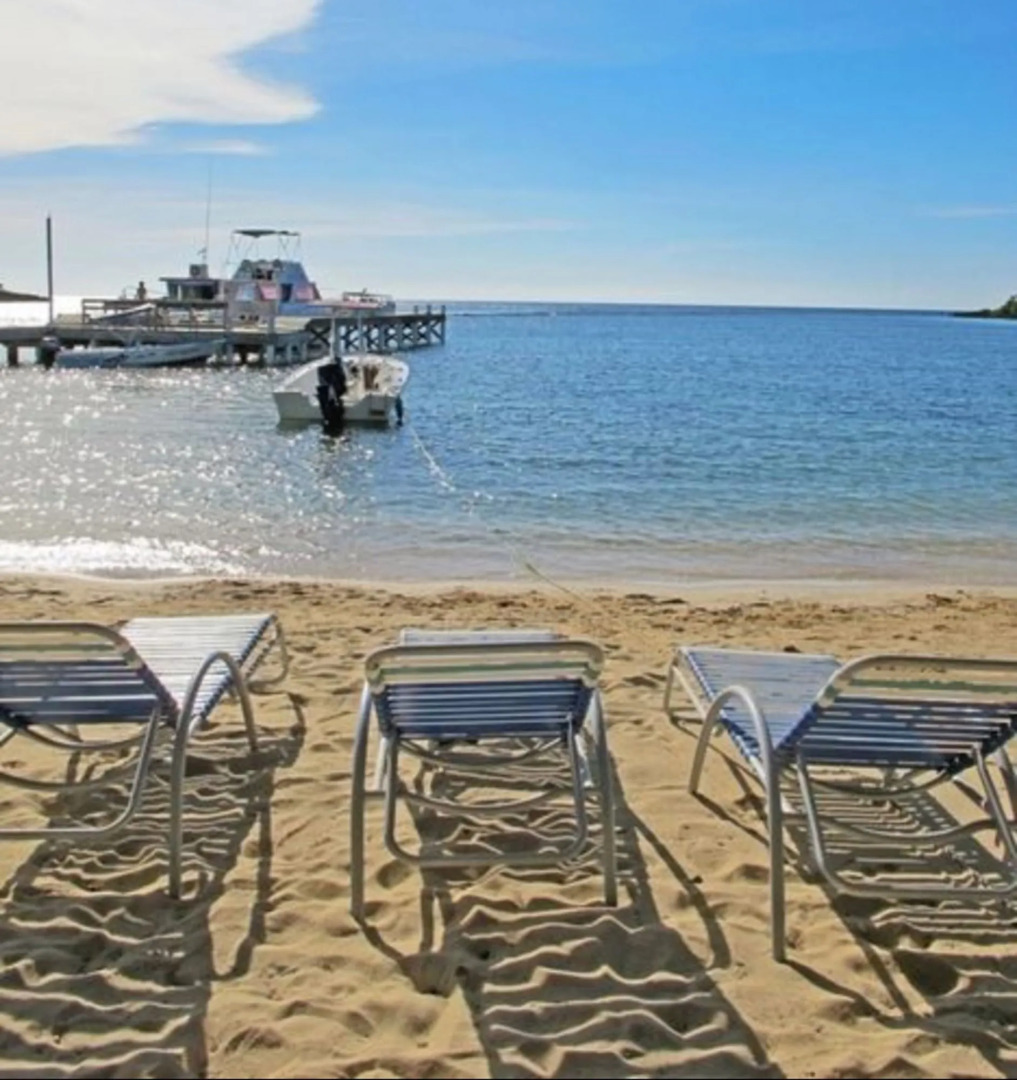 Coconut Tree West Bay