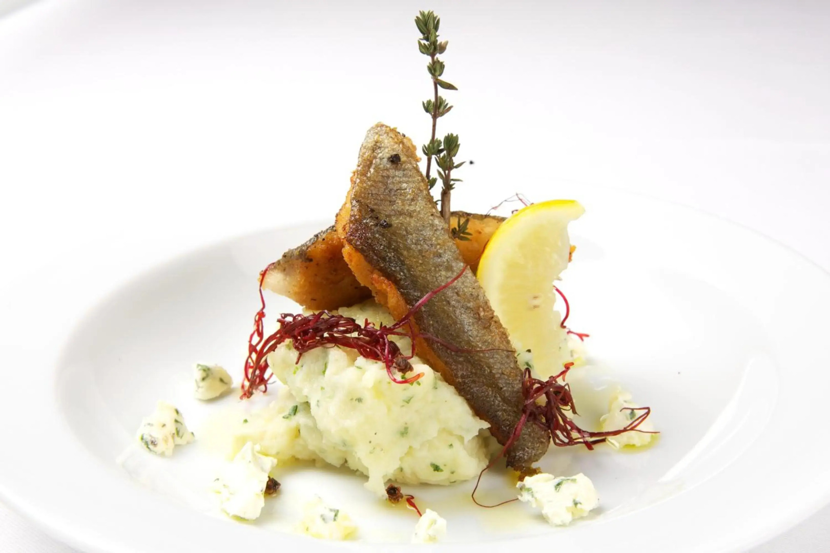 Congress And Educational Centre Floret